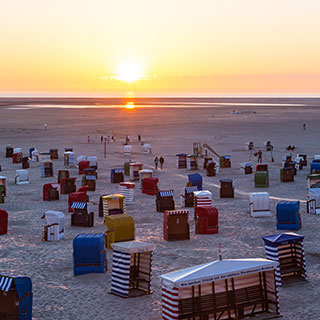 useful travel accessories: 