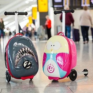 useful travel accessories: 