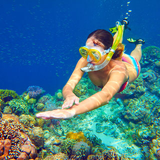 useful travel accessories: 