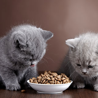 useful travel accessories: 