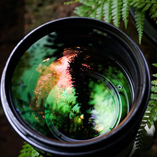 useful travel accessories: 