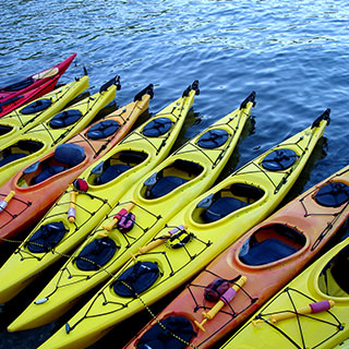 kayaking accessories: 