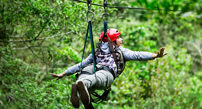 zipline accessories for backyard: Backyard Zip Line Accessories