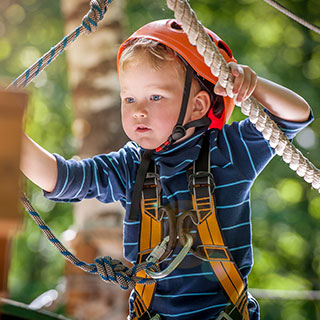 zipline accessories for backyard: 