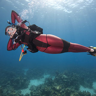 scuba diving gear: