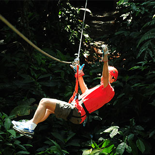 zipline accessories for backyard: 
