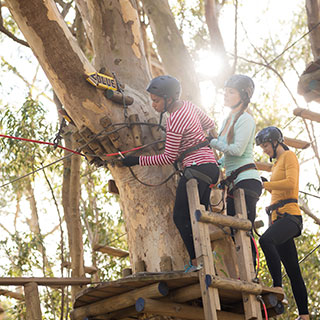 zipline accessories for backyard: 