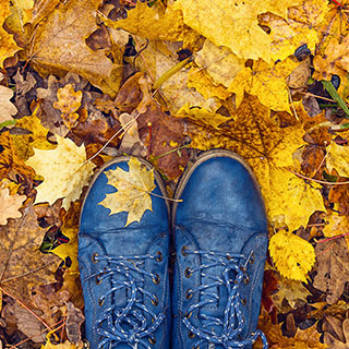 must have travel items: 