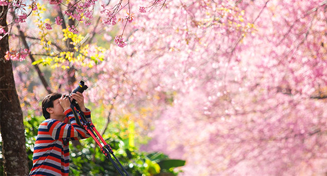 useful travel accessories: Useful Accessories for Photo Lovers