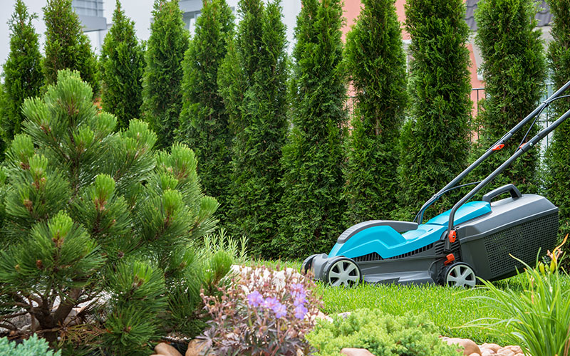 10 Best Corded Electric Lawn Mower (2022) Reviews and Buyers Guide