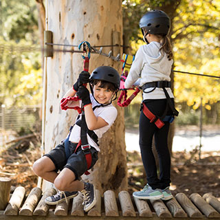 zipline accessories for backyard: 