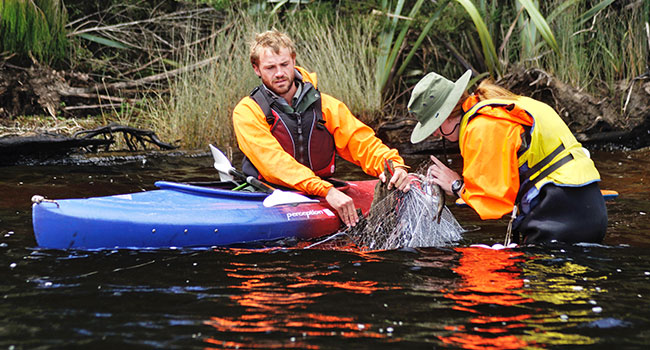 kayaking accessories: Kayak Maintenance & Repairing Instruments