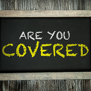 zipline accessories for backyard: 