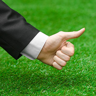 zipline accessories for backyard: 