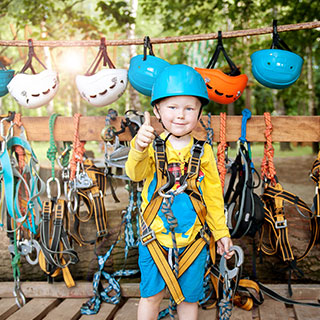 zipline accessories for backyard: 