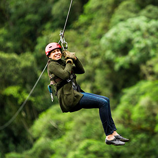 zipline accessories for backyard: 