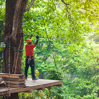 zipline accessories for backyard: 