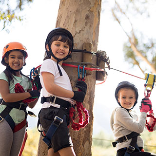 zipline accessories for backyard: 