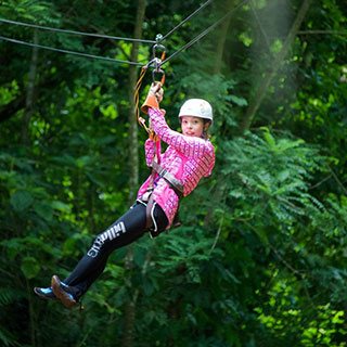 zipline accessories for backyard: 