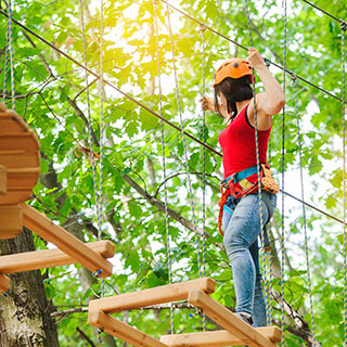 zipline accessories for backyard: 