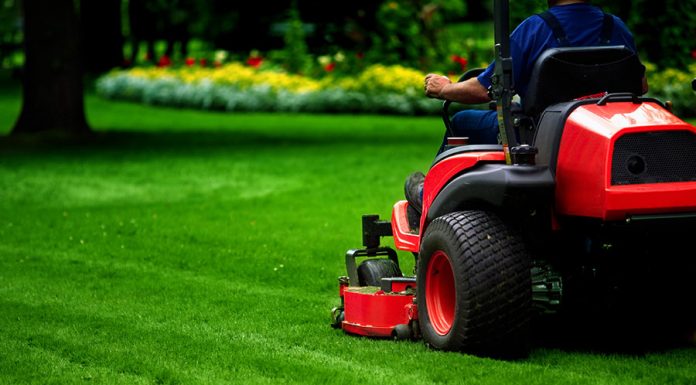 How to Choose the Best Lawn Mower for a Picture-Perfect Yard reel mower: Different Types of Lawn Mowers