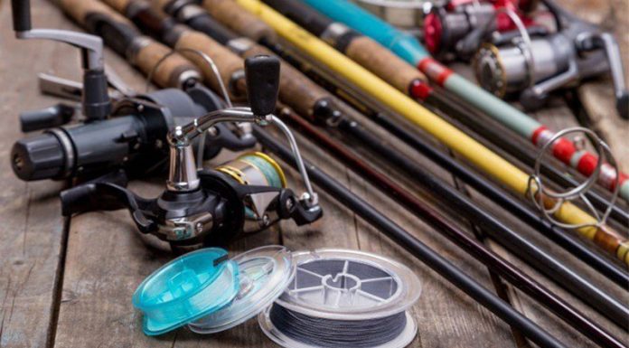 The ABC’s of Fishing: Types of Fishing Lines and How-to Guide how to set up fishing line: All You Need To Know About Fishing Lines