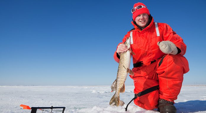 How to Score Fish in Ice with Tip-Ups: Follow These Tips! How to Score Fish in Ice with Tip-Ups: Follow These Tips!