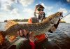 Which Fish to Fish for While Fishing: A Comprehensive Guide