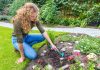 Pro Tips to Keeping a Well-Maintained Lawn All the Year Round! How to Maintain and Manage Your Lawn