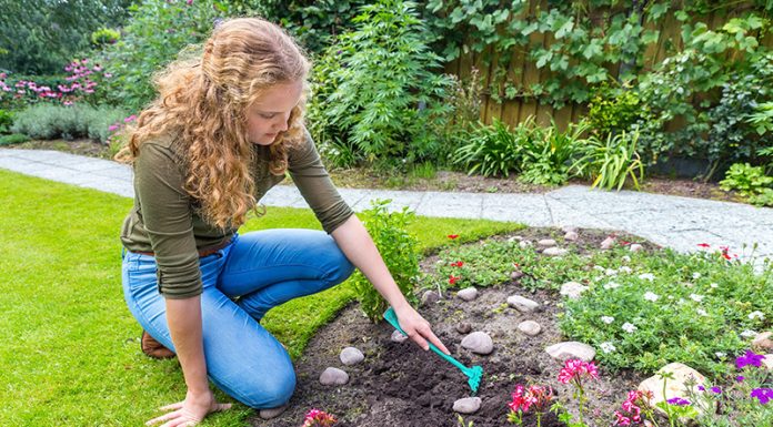 Pro Tips to Keeping a Well-Maintained Lawn All the Year Round! How to Maintain and Manage Your Lawn