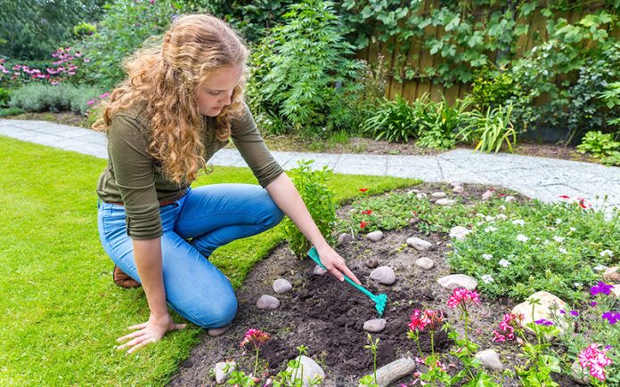 How to Maintain and Manage Your Lawn