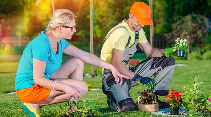 DIY Ideas to Create the Lawn of Your Dreams! simple front yard landscaping ideas: Smart Tips To Get A Pitch Perfect Lawn