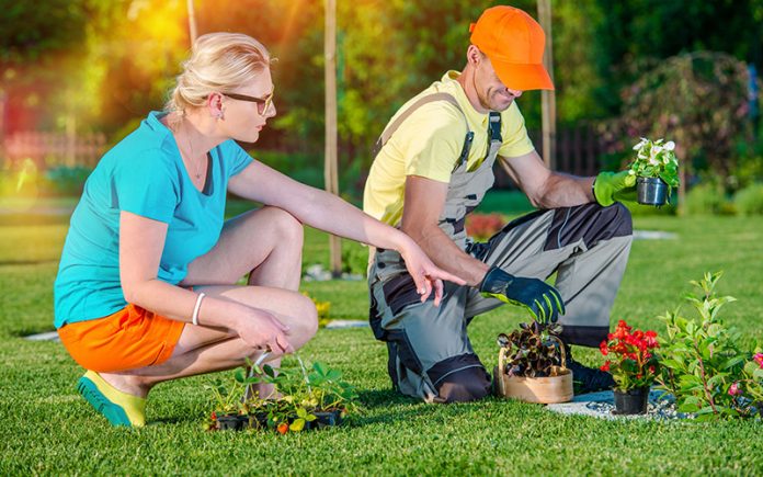 simple front yard landscaping ideas: Smart Tips To Get A Pitch Perfect Lawn