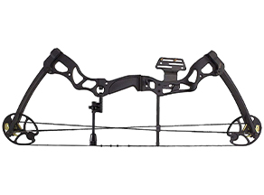 Heavy compound bow: Leader Accessories Compound Bow