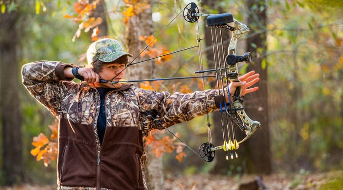 Compound Bows for Beginners: How to Shoot in 10 Simple Steps compound bow for beginners: Beginner’s Guide on How to Use a Compound Bow
