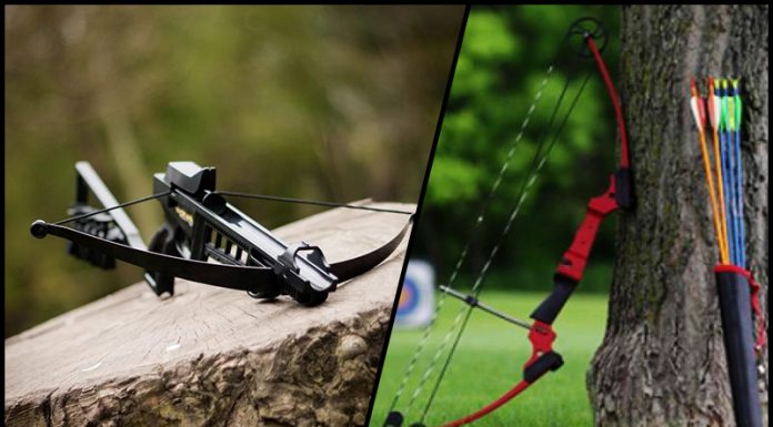 Crossbow vs. Compound Bow: Which One is For You? crossbow vs compound bow: Crossbow Vs Compound Bow