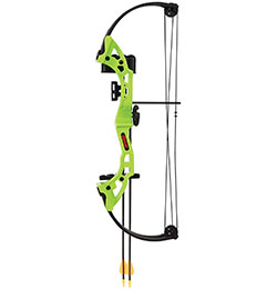 Bear Archery Brave Bow Set