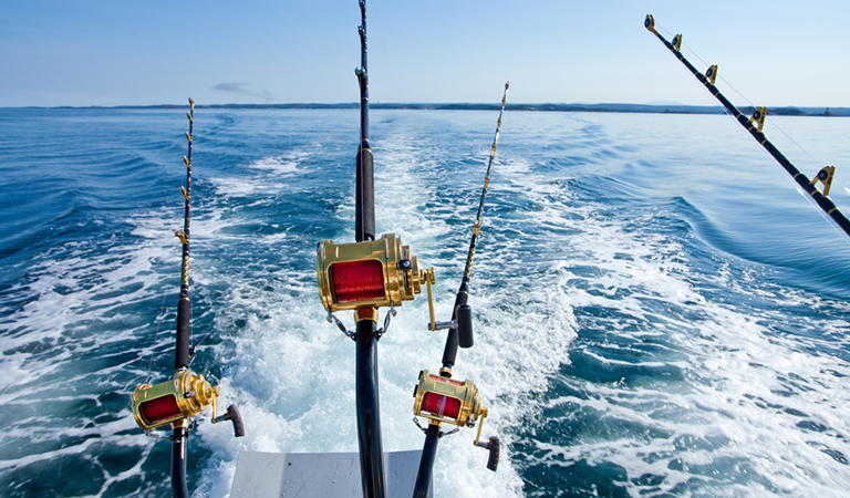 Deep Sea Fishing